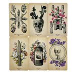 Antique Anatomy Tarot Showcase