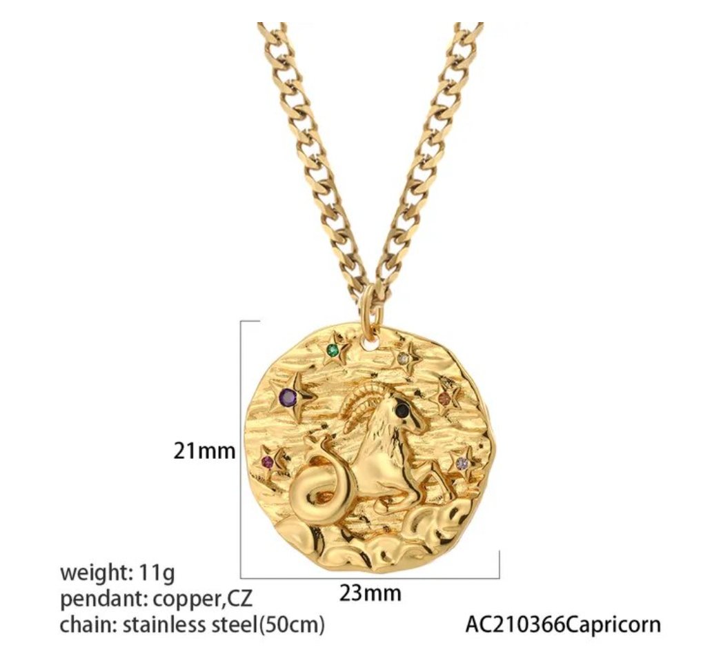 Exquisite Zodiac Sign Amulet Necklace - Zodiac Radiance